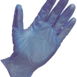 BLUE Vinyl Disposable Gloves (Powder Free) - LARGE